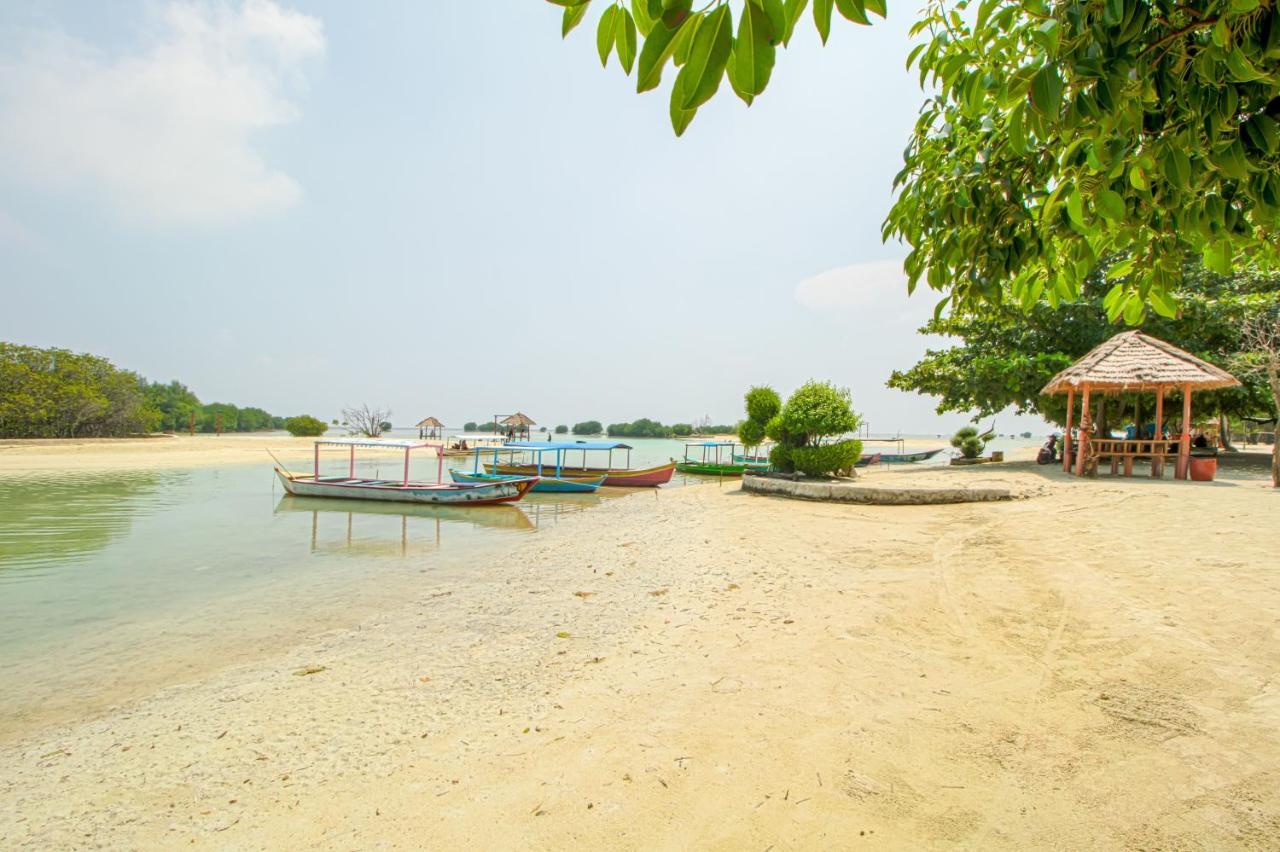 Guerilla Dive Lodge Pulau Pari Jakarta Bagian luar foto